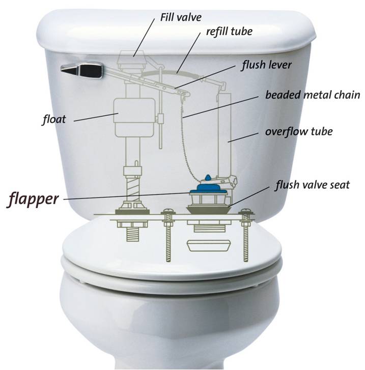 Self-monitoring toilets and other modern conveniences - Ramblin' with Roger