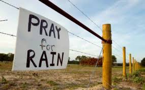 P is for praying for rain (ABC Wednesday) - Ramblin' with Roger